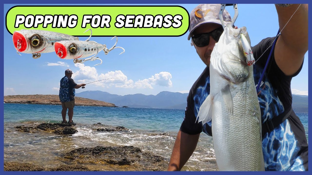 Light Tackle Fishing Adventures #21: Popping for SEABASS in PARADISE!