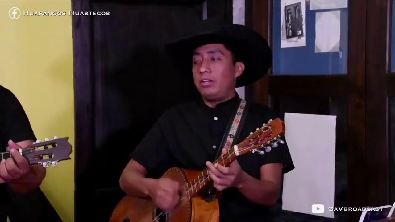 Disfrutemos de Huapangos Huastecos! Bienvenidos a todos