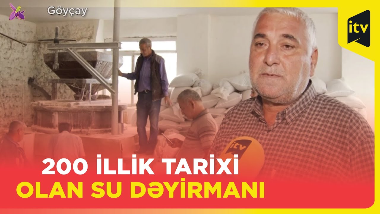 Su dəyirmanının unu nə üçün müalicəvi sayılır?