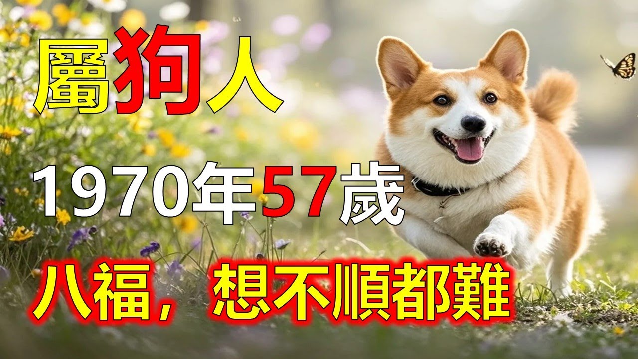 1970年屬狗人，2026年請接八福，想不順都難#2026狗#生肖狗#1970 狗
