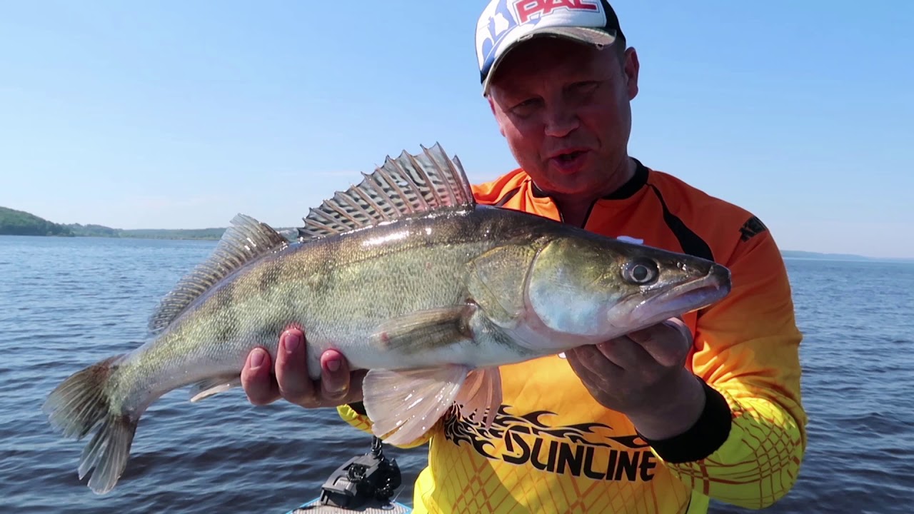 Как мы выиграли Pro Anglers League. Секретная приманка. Тактика тренировок