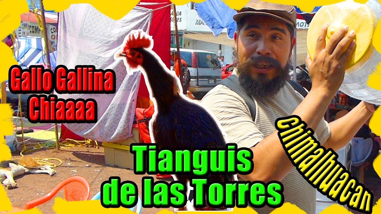 Chachareando en el Tianguis de las torres de Chimal