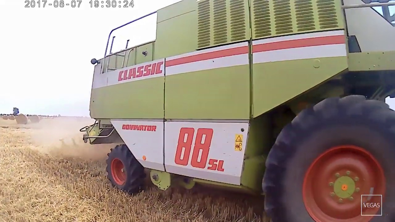 ☆Pszenica pod kosę czyli Żniwa 2019 ☆Claas Dominator 88sl☆