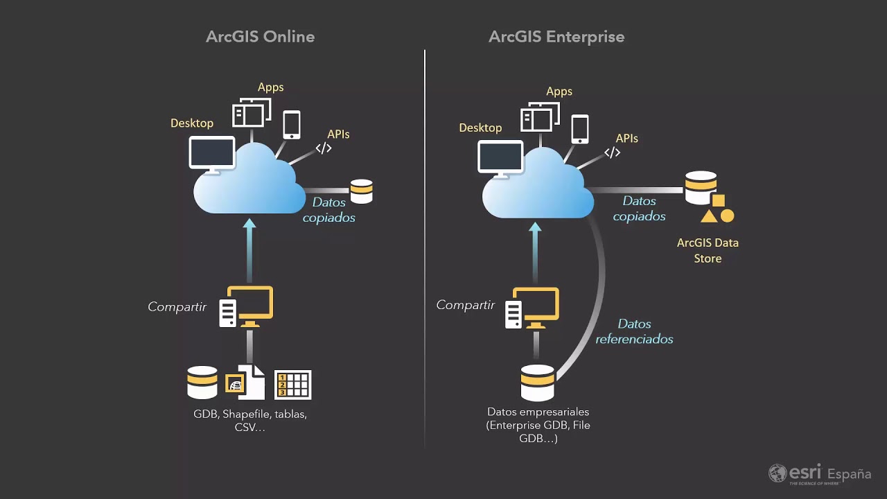 Diferencias en la publicación en ArcGIS Online y ArcGIS Enterprise