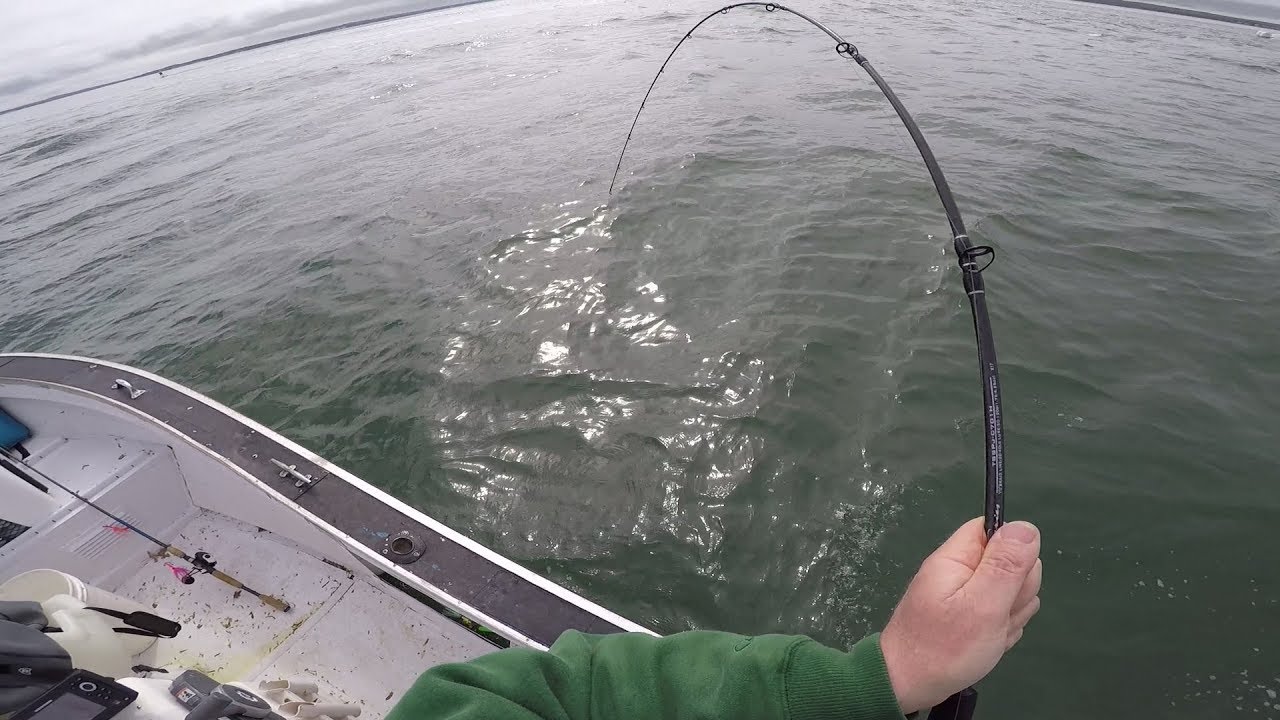 Slow Pitch Striped Bass Fishing Attempt