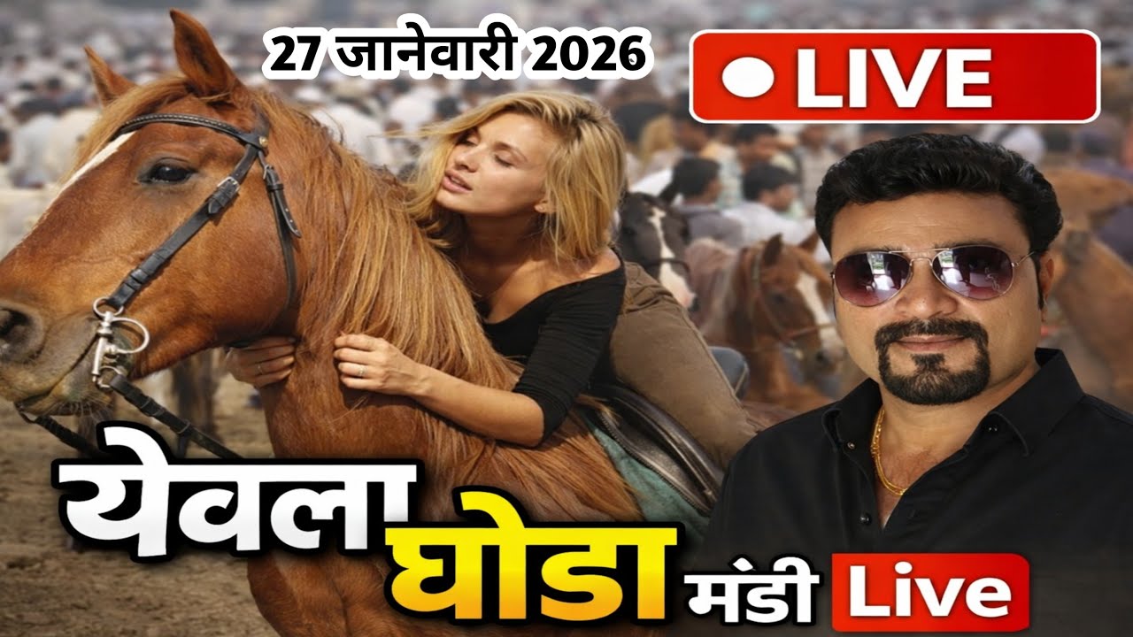 येवला घोडा बाजार LIVE🔴
