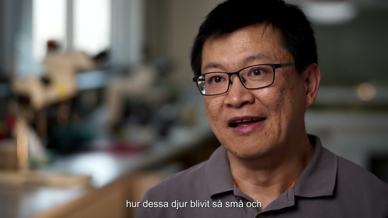 Havets intelligens - Forskarklipp - Wen-Sung Chung