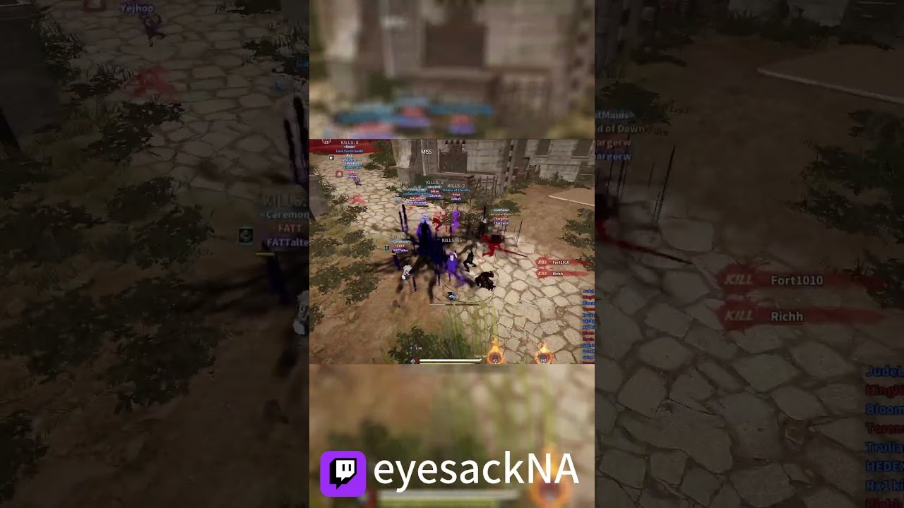 Is Succ Sorc it??  #bdo #sorc #pvp