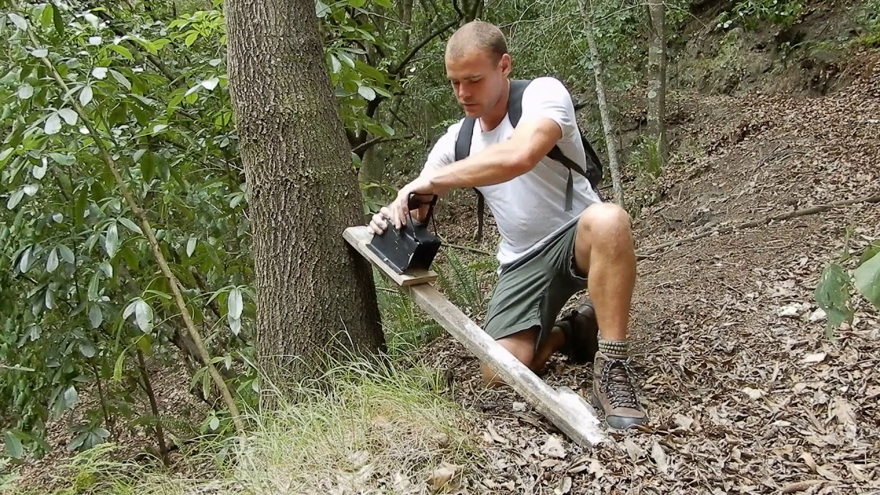 Setting an SA2 Trap for Possums