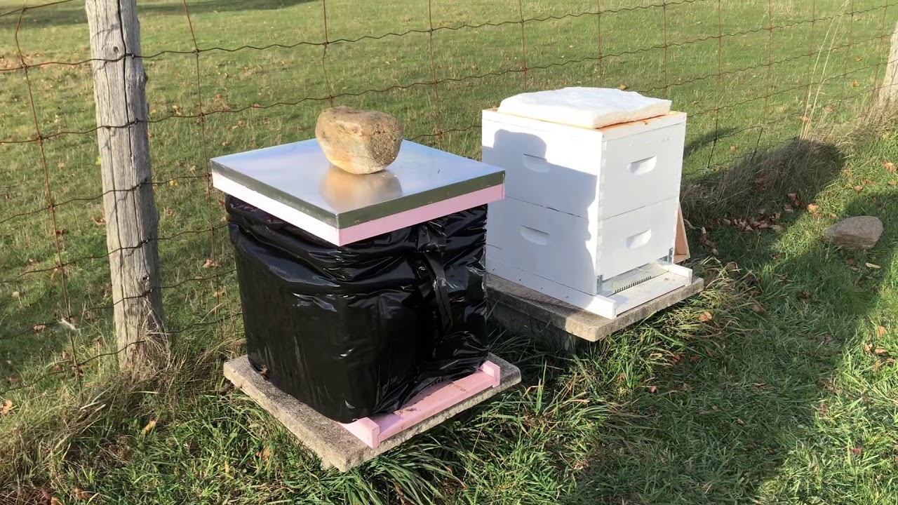How to winterize bee hives