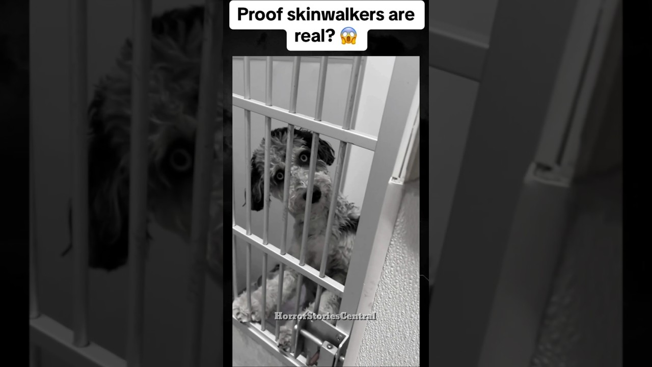Mythical Creatures Caught on Camera - Skinwalker 😱 #horror #myths #scary