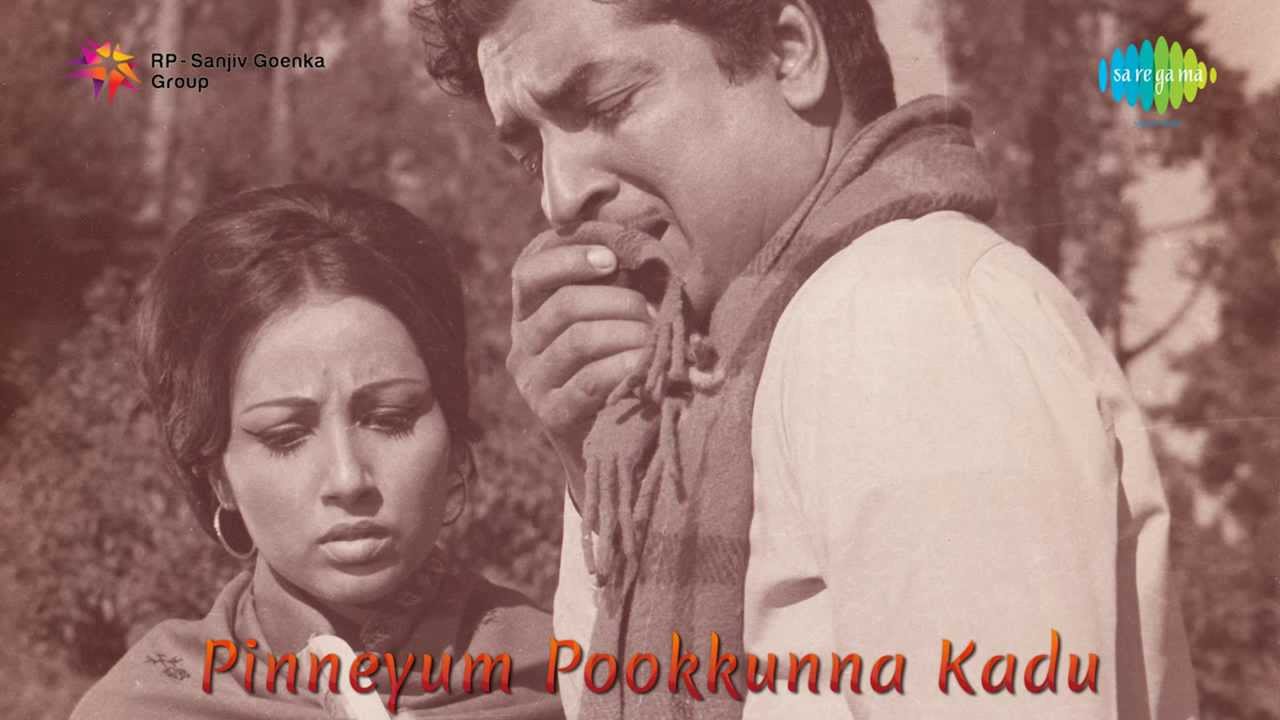 Pinneyum Pookkunna Kaadu | Enthanu Chetta song