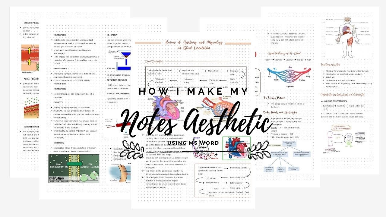 How I make my notes aesthetic using Microsoft word