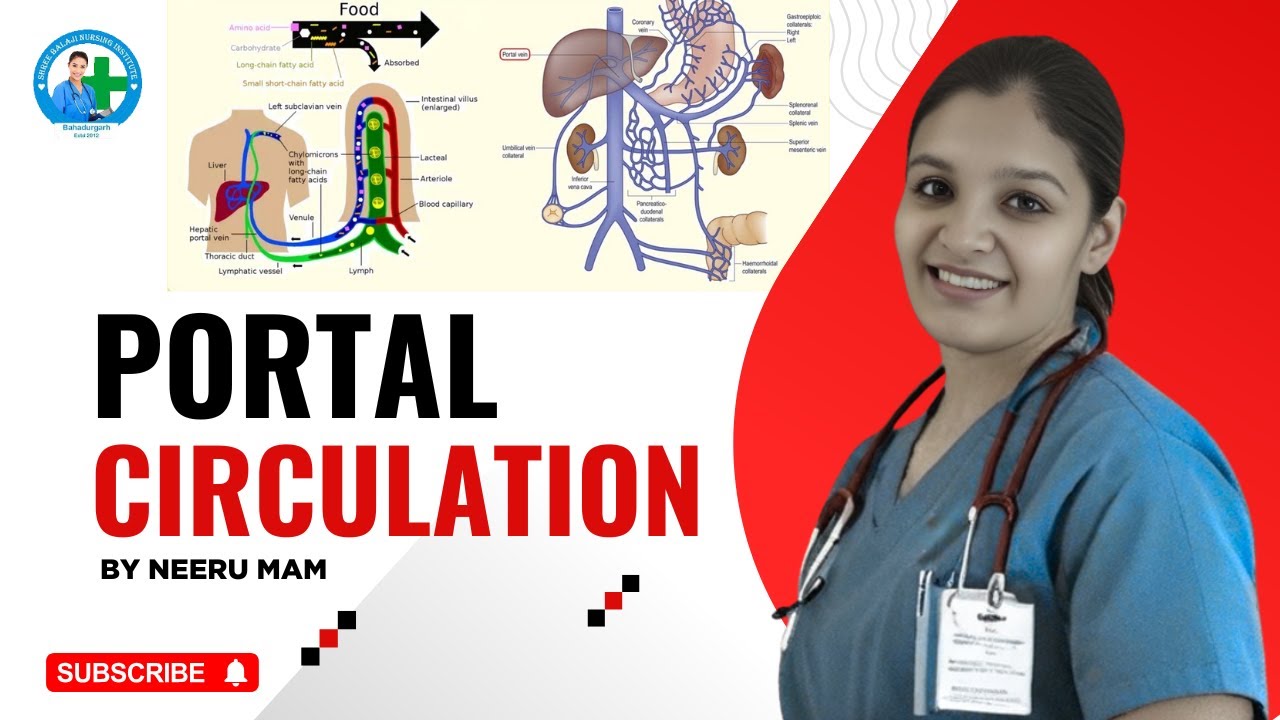 Portal Circulation | Neeru Mam PortalCirculation #MedicalStudents #NursingStudents