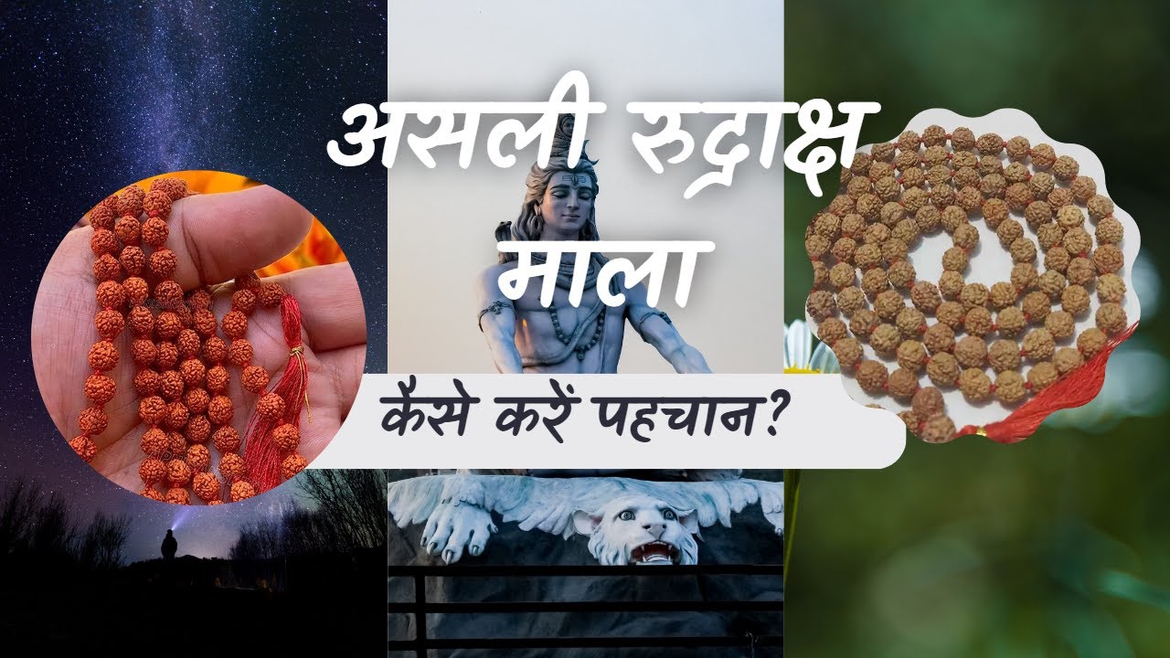 How to check Original Rudraksha Mala is real or not | Rudraksha Jaapa Mala test