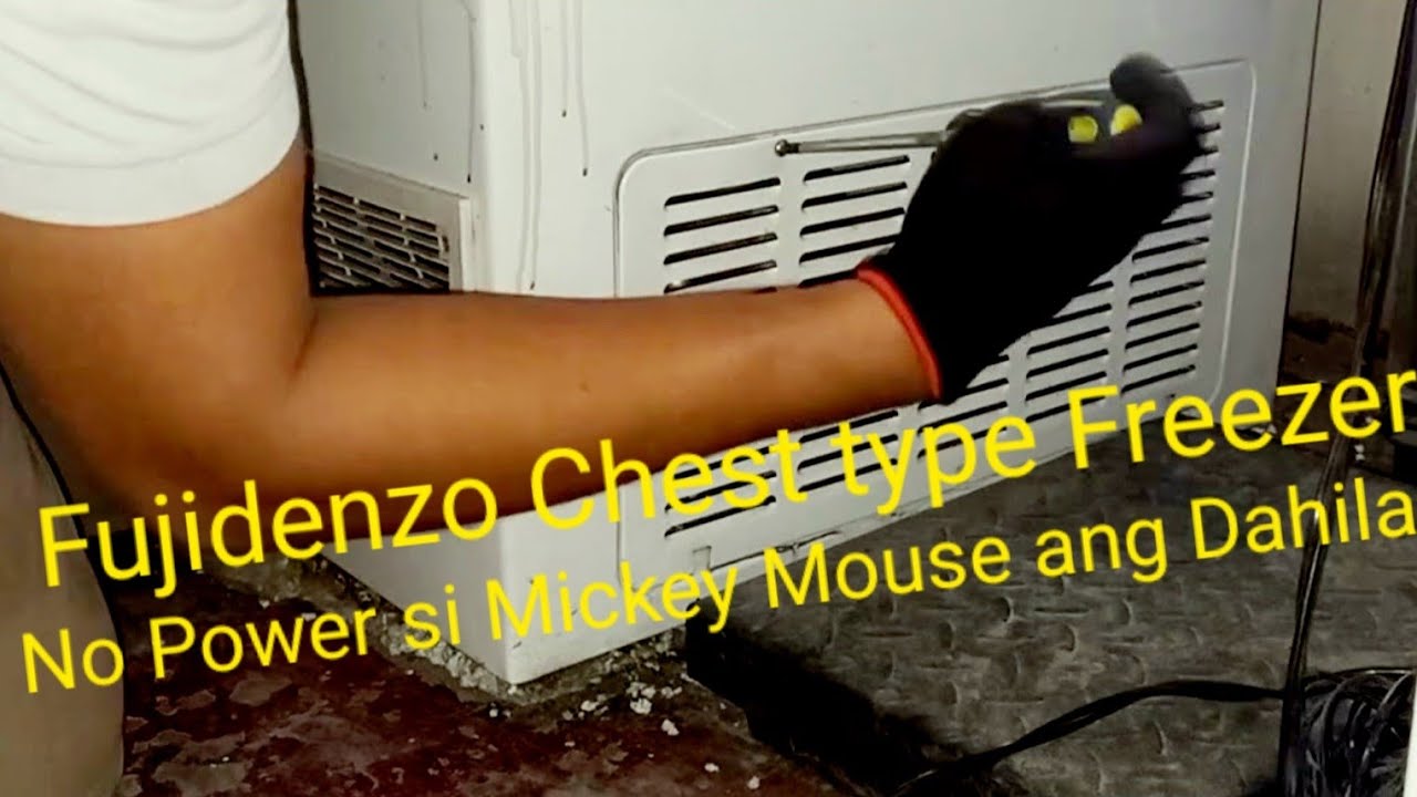 Fujidenzo Chest type Freezer No Power. Si Mickey mouse ang Dahilan
