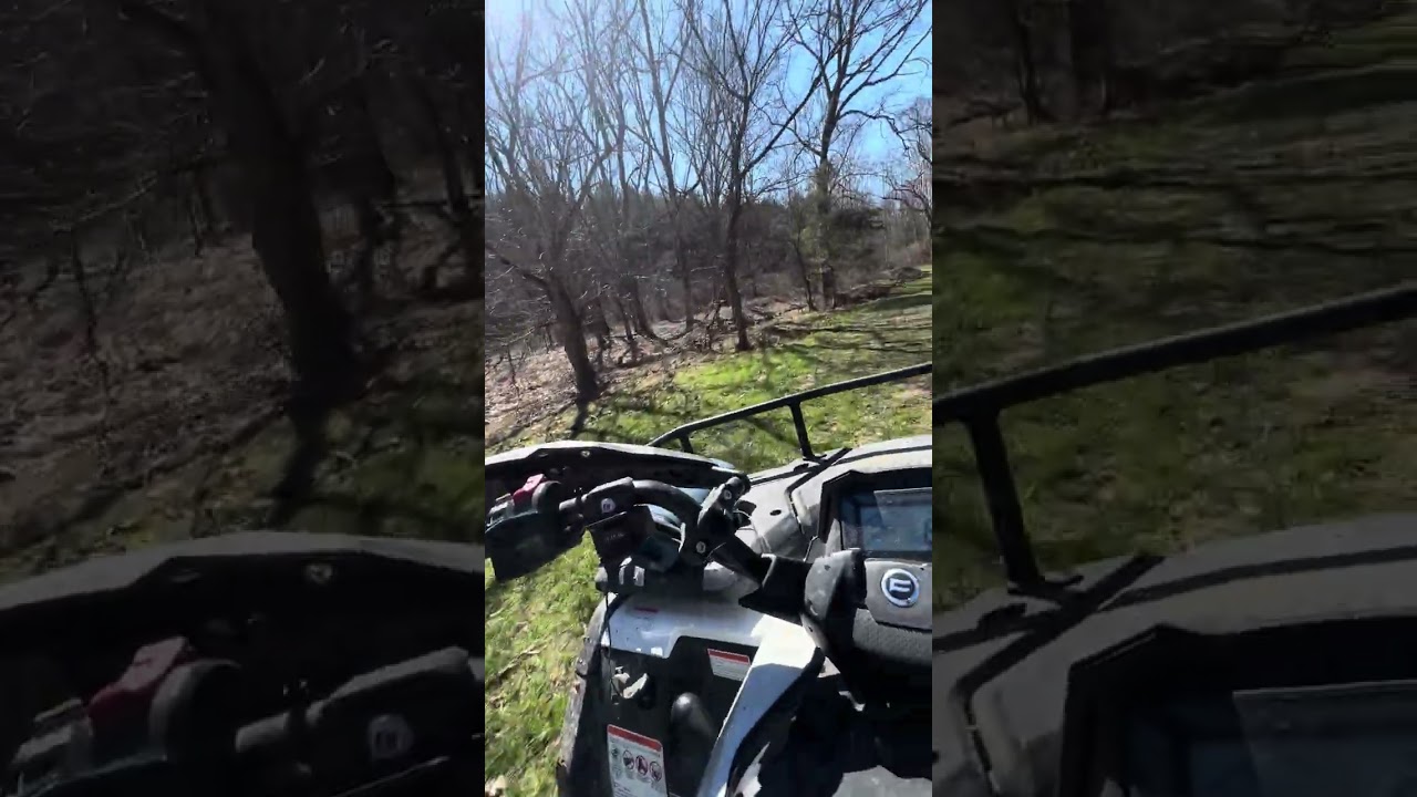 Going to the creek