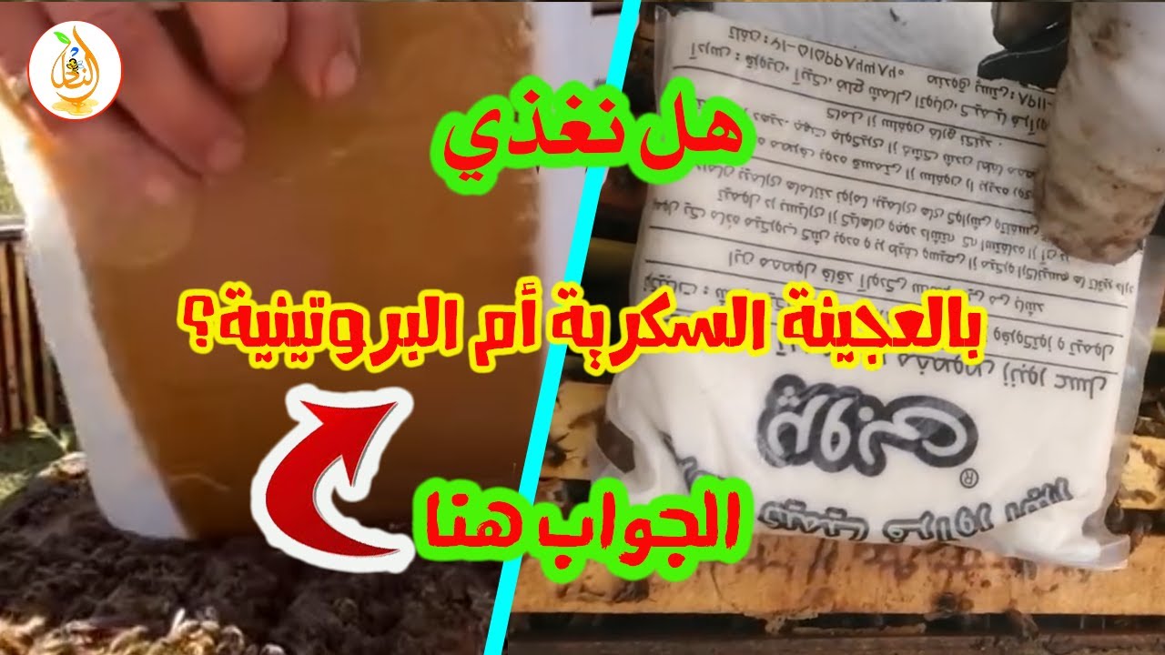 متى نقدم العجينة السكرية ومتى نقدم العجينة البروتينية؟ وما الفرق بينما.