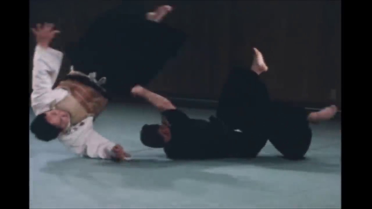 Takagi Ryu Jujutsu & Kukishin Ryu Bojutsu