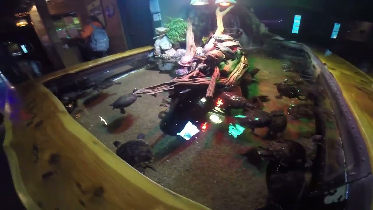Oklahoma Aquarium