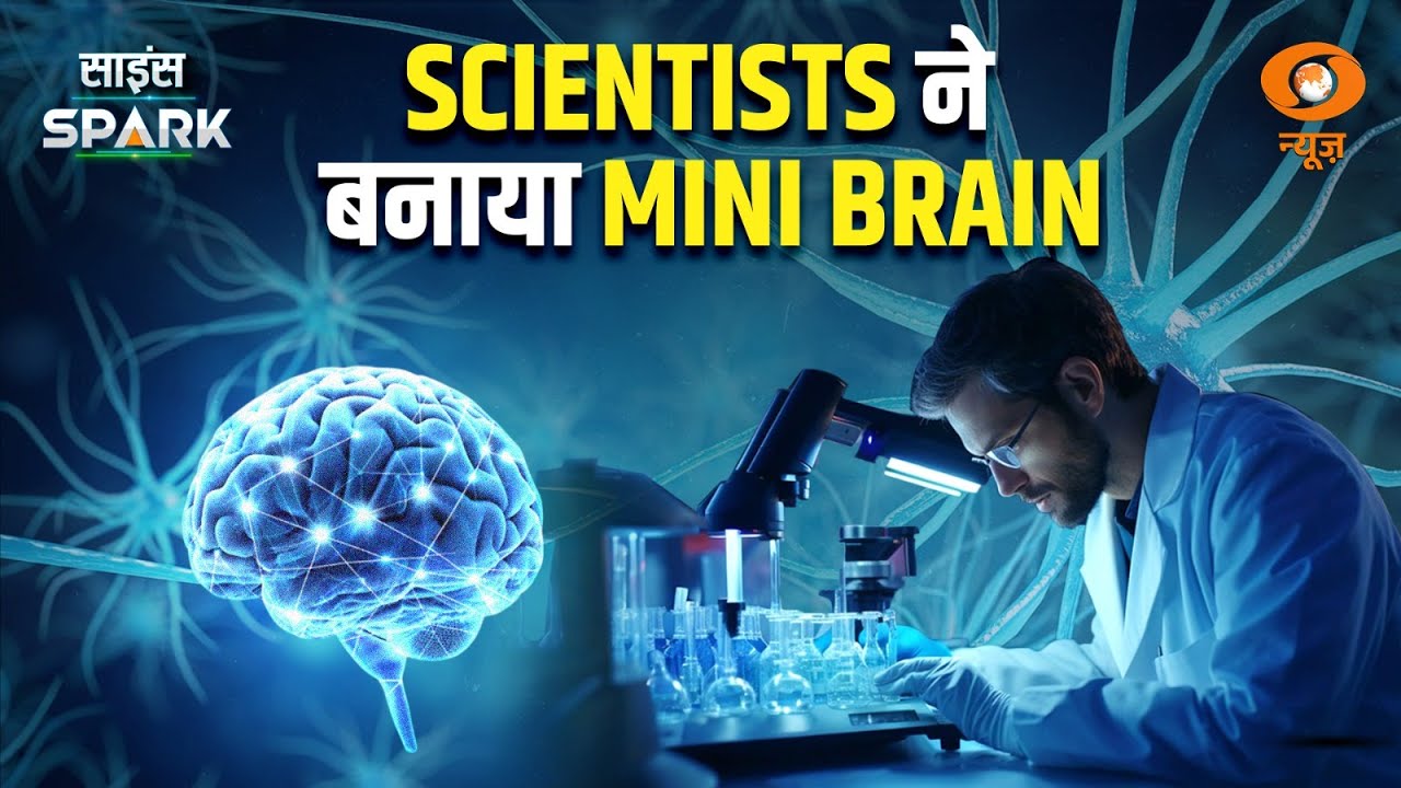 Scientists ने बनाया Multi-Region Mini Brain Organoid | Science Spark