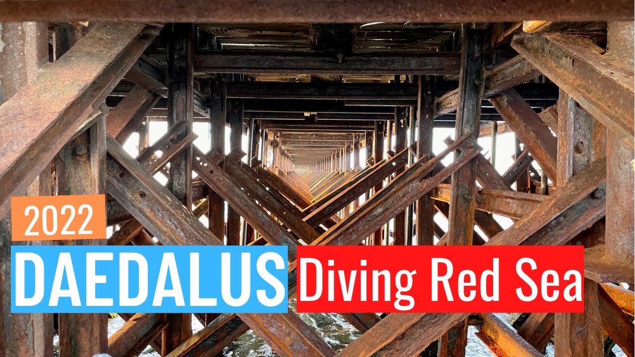 Diving Red Sea: Brothers, Daedalus, Elphinstone