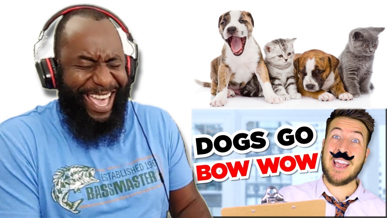 How Animal Sounds Were Decided Reaction | Ryan George Comedy