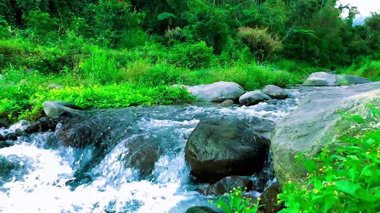 Mountain Stream Flow Nature ASMR for Better Sleep, Body Restoration, Mental Healing