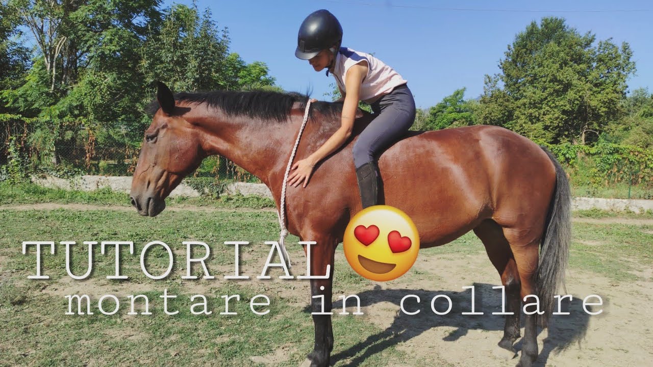 TUTORIAL MONTARE IL VOSTRO CAVALLO *SENZA* TESTIERA ft.Io distrutta dopo una lezione | Sara Aventino