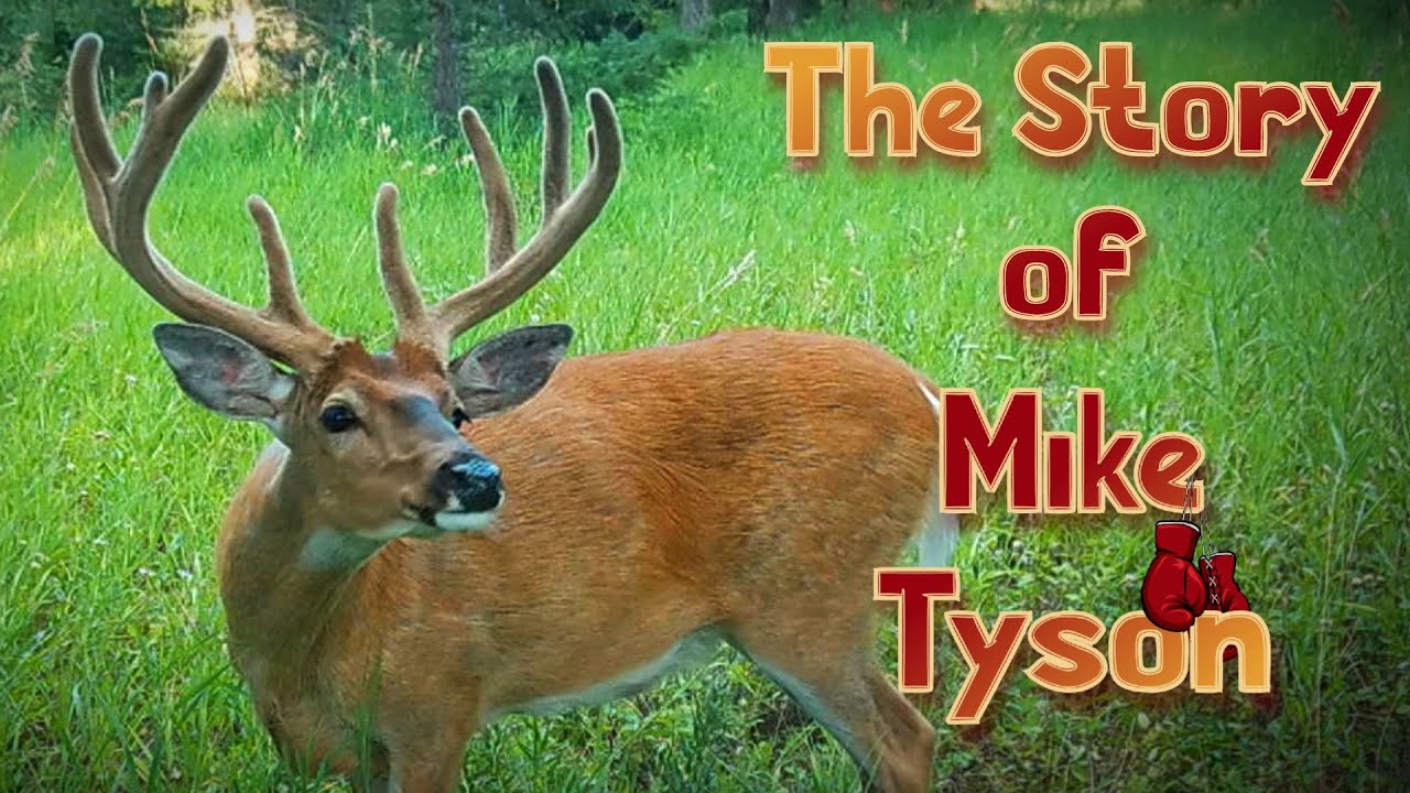 The Story of Mike Tyson (INCREDIBLE HUNTING JOURNEY!)