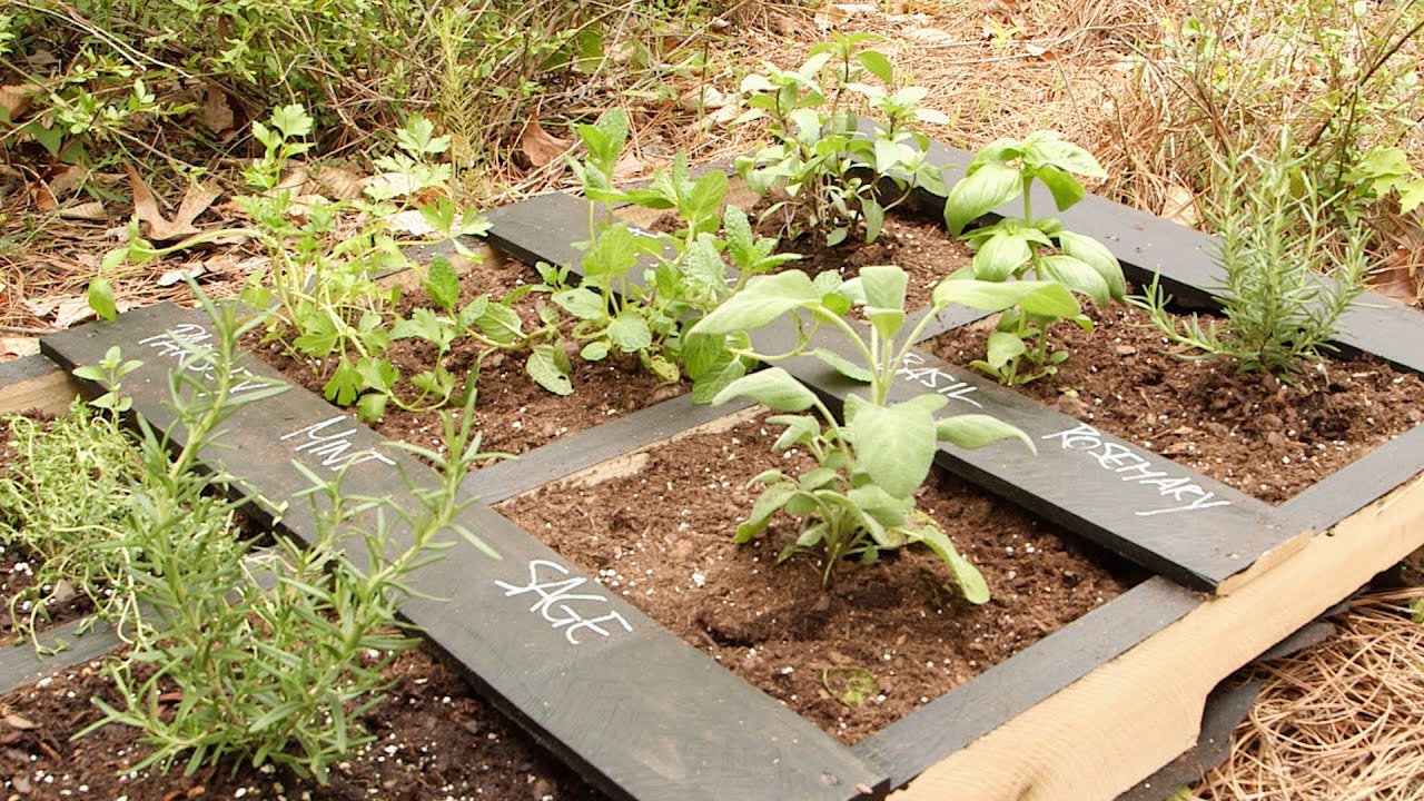 Pallet Garden Planter | Southern Living