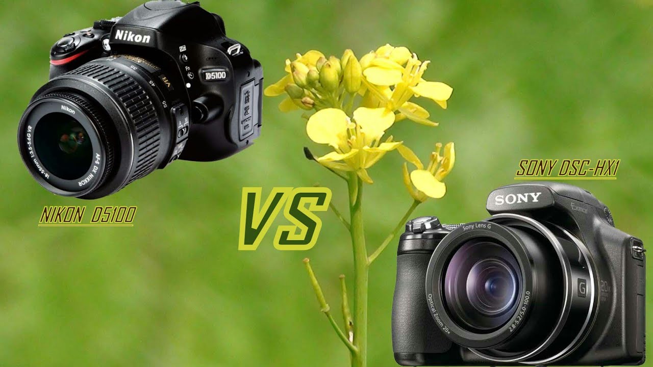 Nikon d5100 vs sony hx1