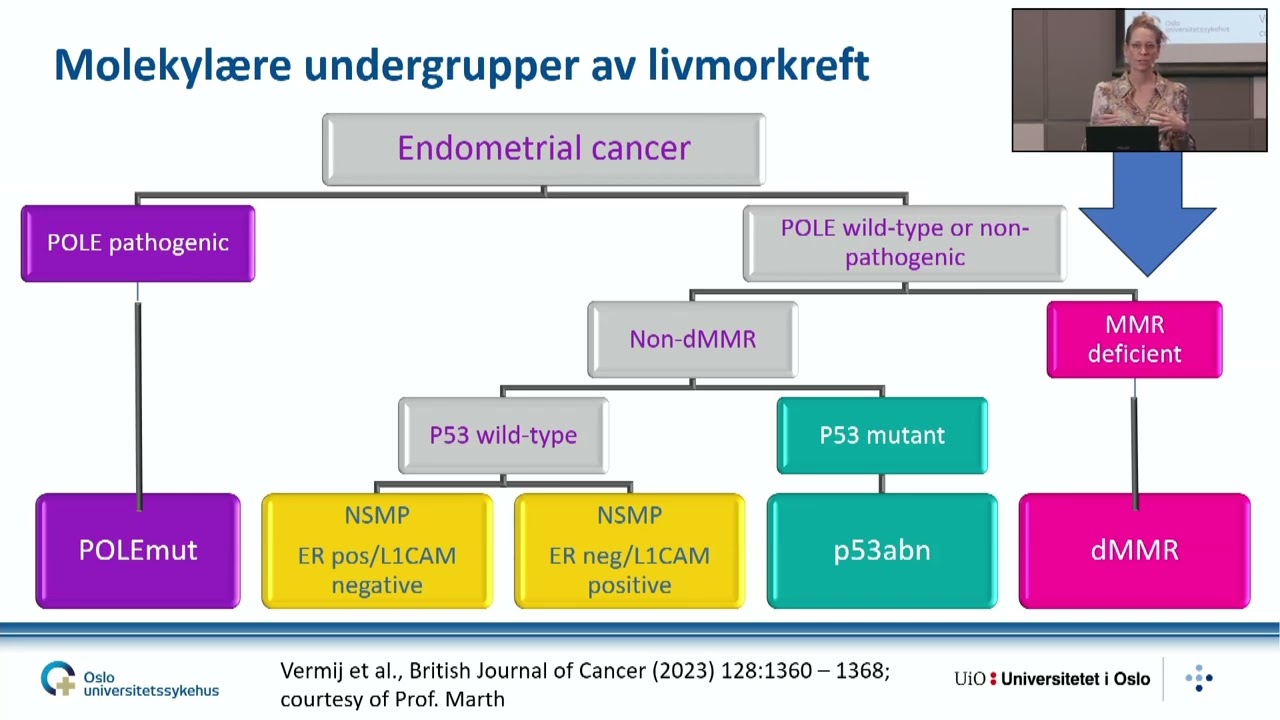 Kunnskapsdag om gynkreft 22.01.25, livmorkreft