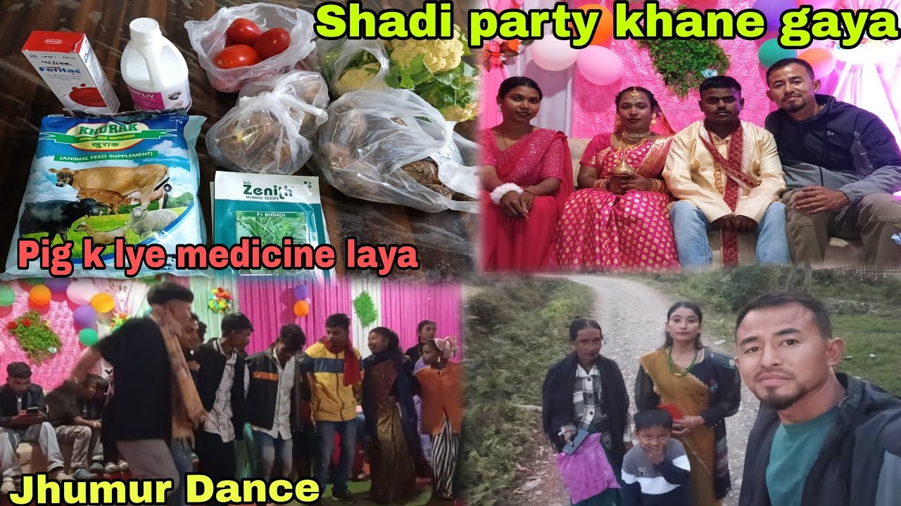 Pig k liye medicine laya//Shadi party khane gaya tha Gaon me 