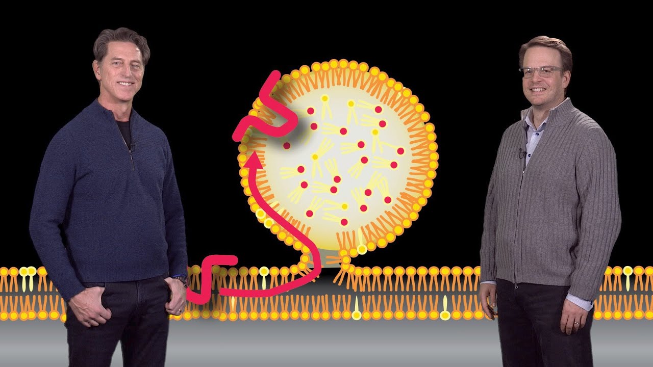 Farese and Walther (HSPH) 3: Physiology of Lipid Droplet Formation