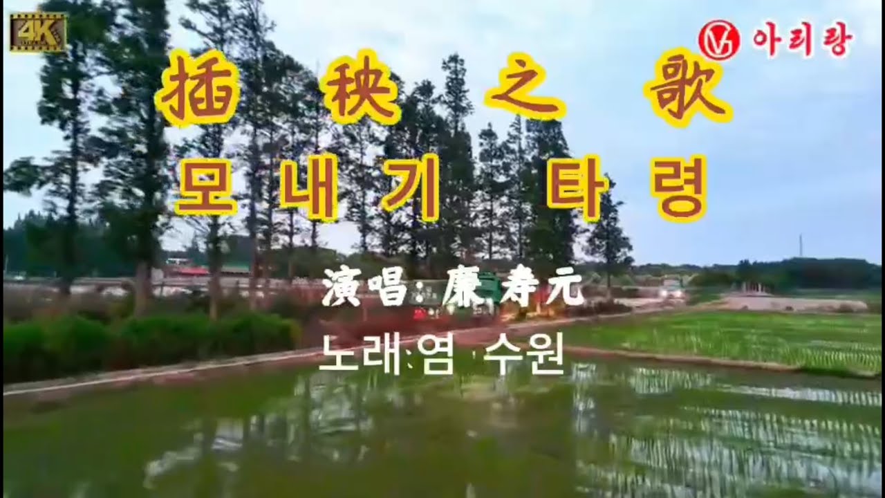 AI 영상가요 - 모내기 타령 (노래: 염수원, AI 영상편집: 아리랑视频群 최룡권)
