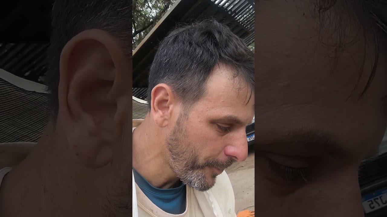 Resgate de abelhas africanizadas estava no Cupim!