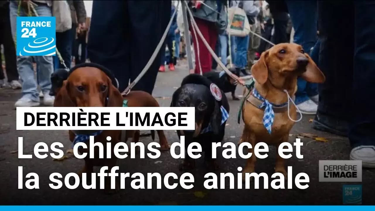 Derrière l'image : la 