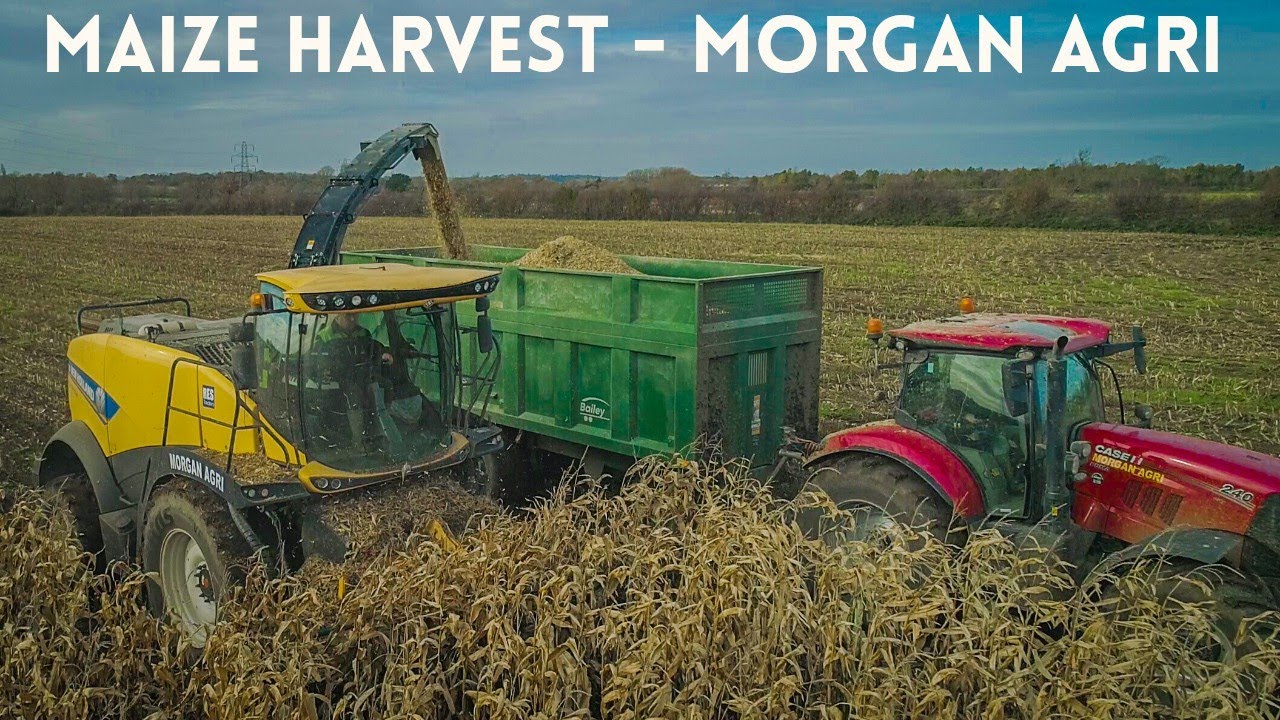 Morgan-Agri Maize Harvest 2020. New Holland FR550, JCB 4220 Fastrac, CASE IH Puma 240 CVX