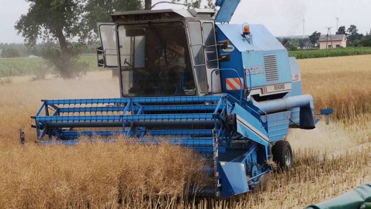 Bizon Rekord Z058 praca na polu 2019 + BONUS wysyp rzepaku MEMORI 12.07.2019