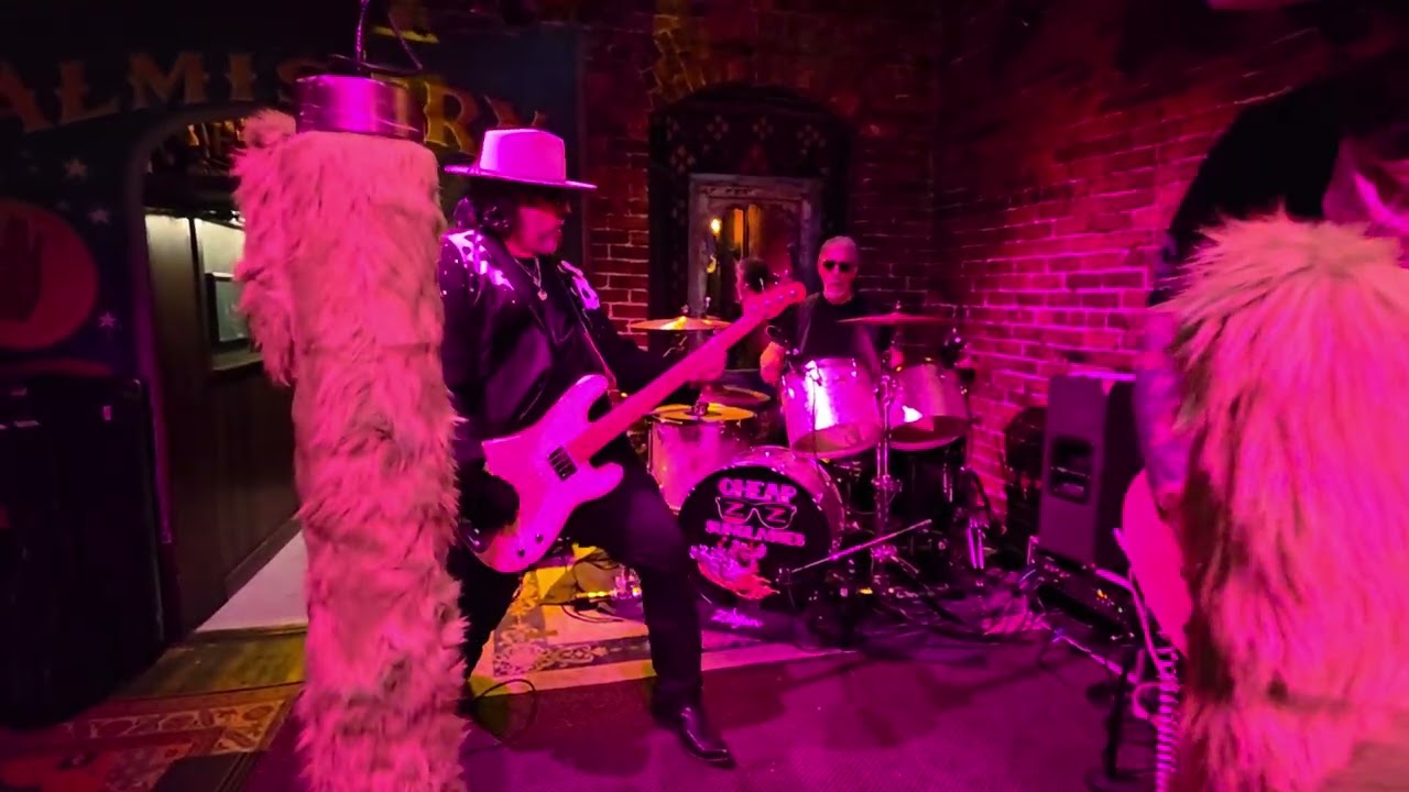 Cheap Sunglasses ZZ Top Tribute Band 