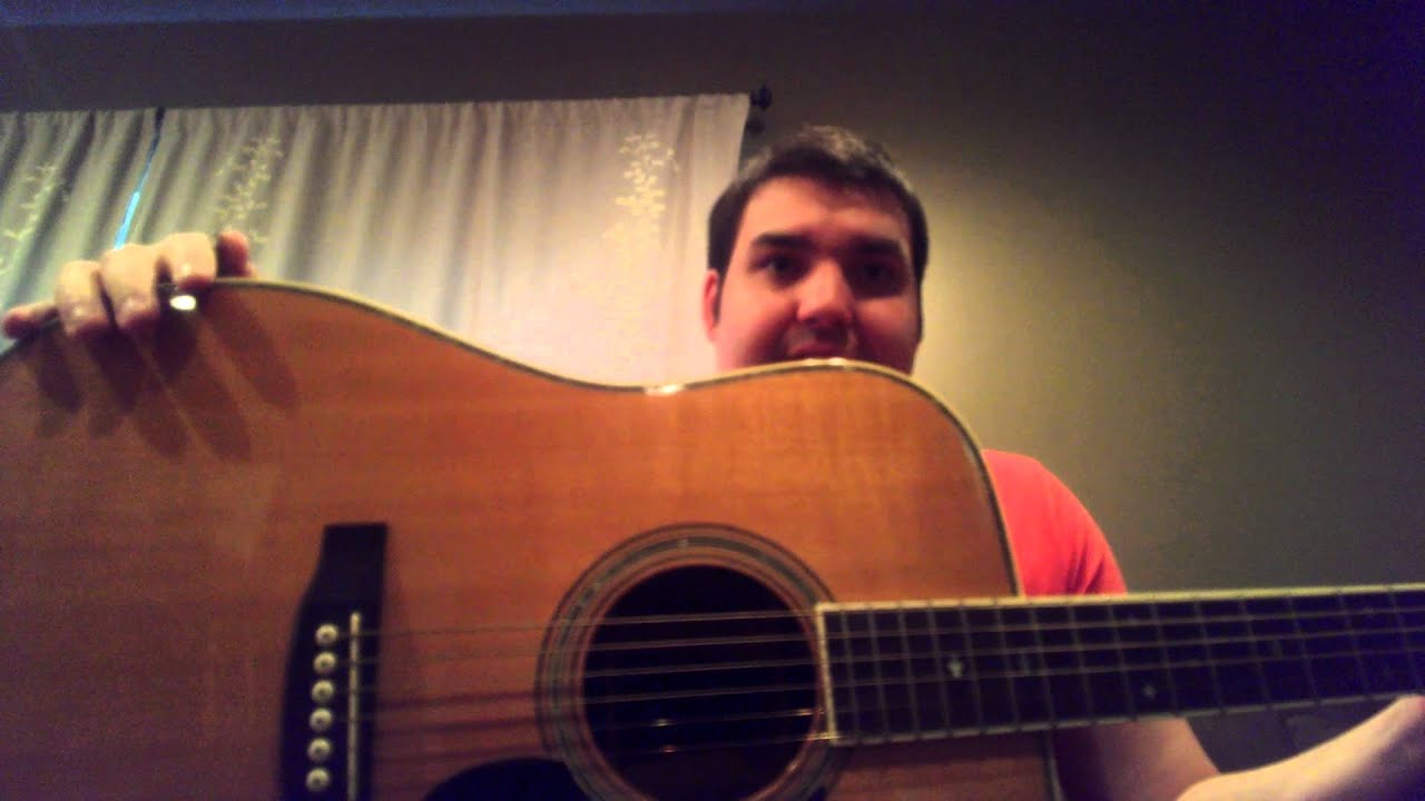 Aria Pro II Acoustic Guitar Review