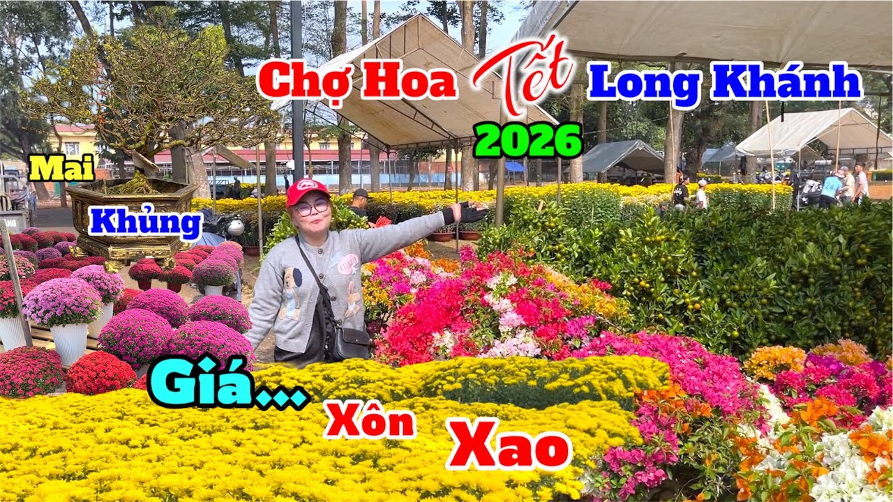 Xôn xao chợ hoa tết long khánh 2026, Mai Khủng độ bộ