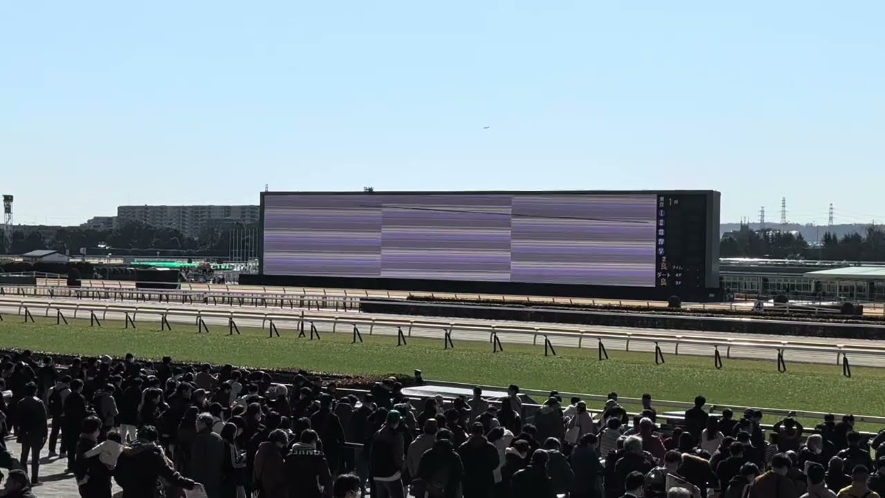 2026.2.21.東京競馬1R跑跑跑...