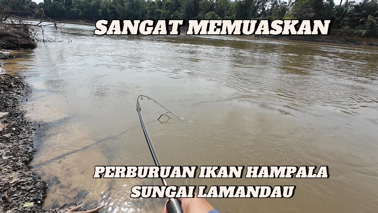 BEGINI HASILNYA KETIKA MANCING PAS AIR LAGI BAGUS