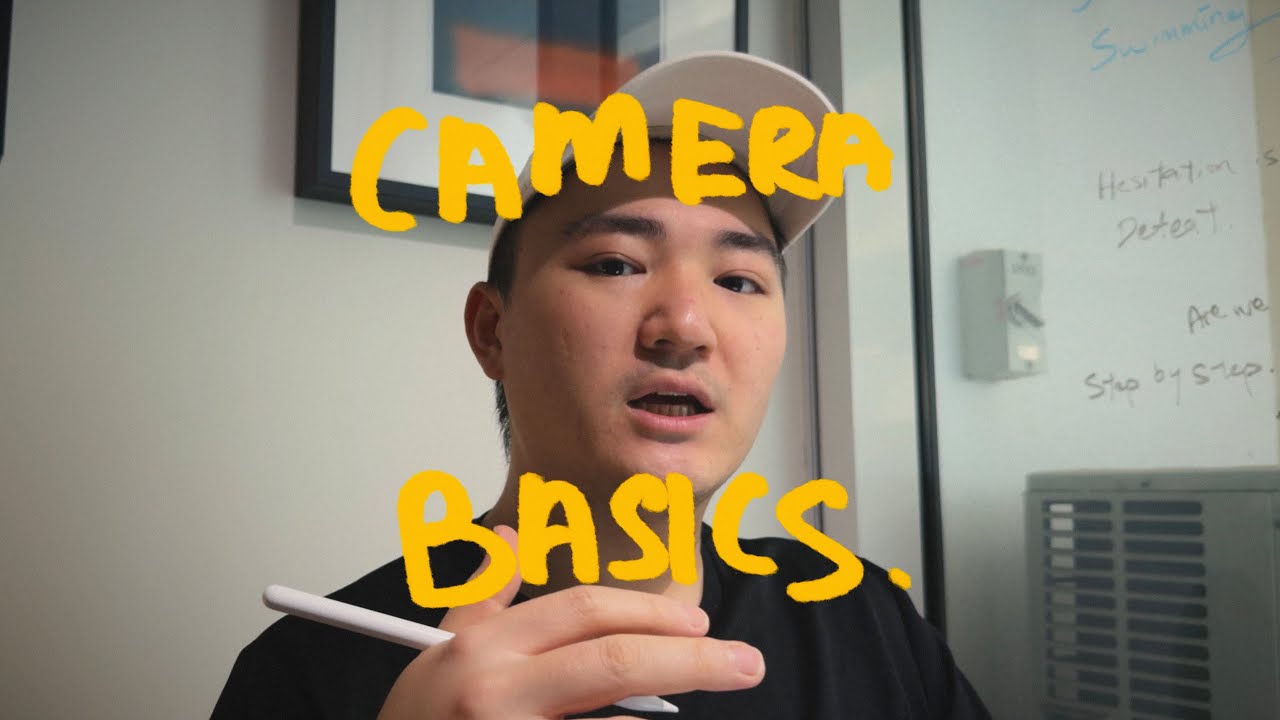 camera basics.