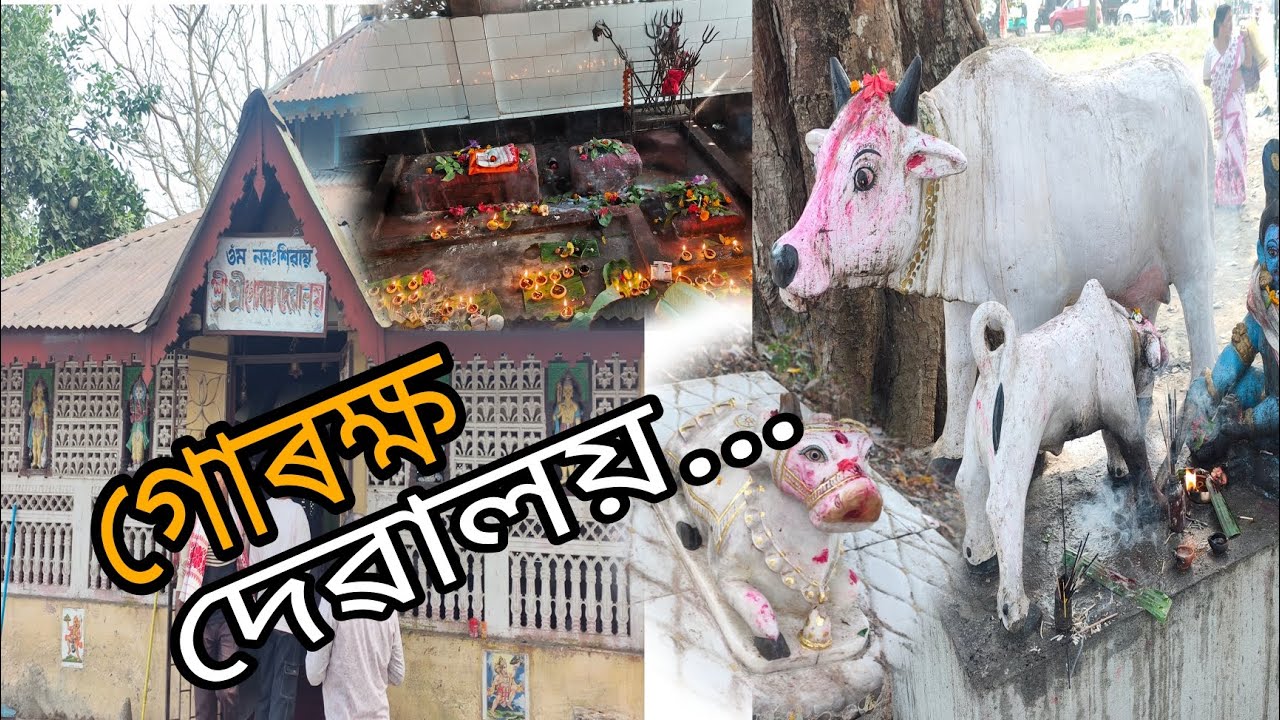 গোৰক্ষ দেৱালয় ৷ মাঘী পূৰ্ণিমা 