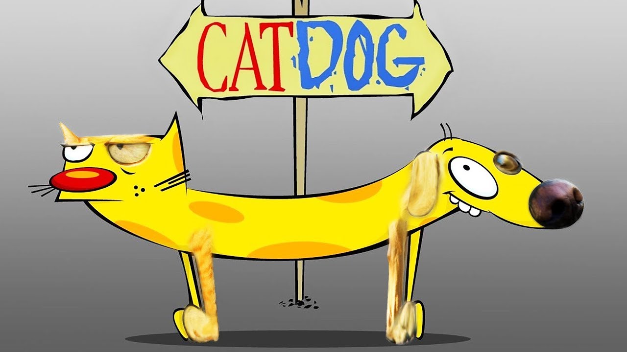 if CATDOG were real...
