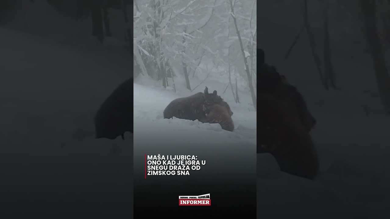 Ma&scaron;a i Ljubica su posebna atrakcija planine Ozren u Bosni i Hercegovini!