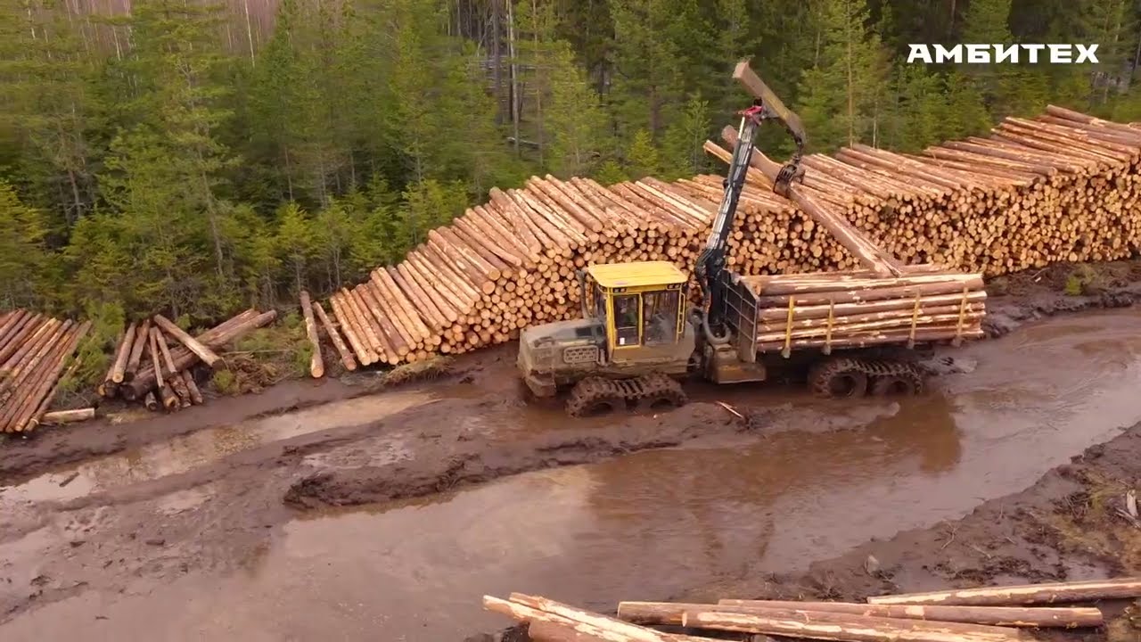 Форвардер Tigercat 1055С